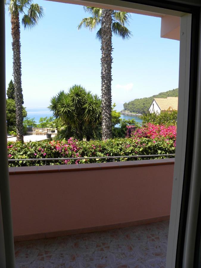 Comfortable Apartment In Maratea With Sea View 95 M² + Parking Esterno foto